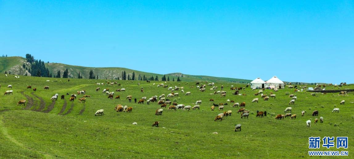 1757033348320481.jpg 5.jpg