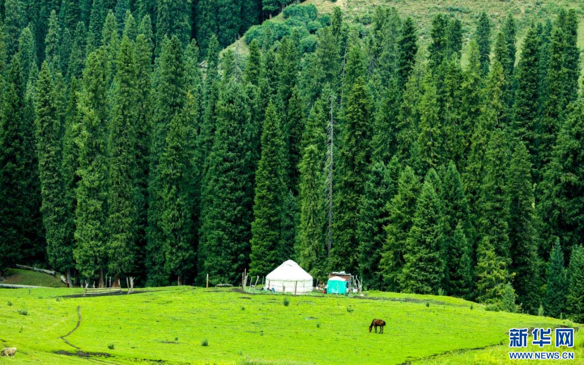 1757033351336289.jpg 6.jpg