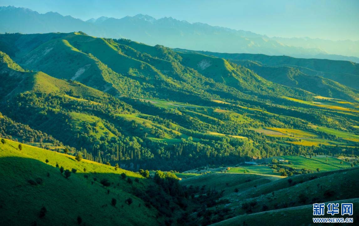 1757033353714851.jpg 7.jpg