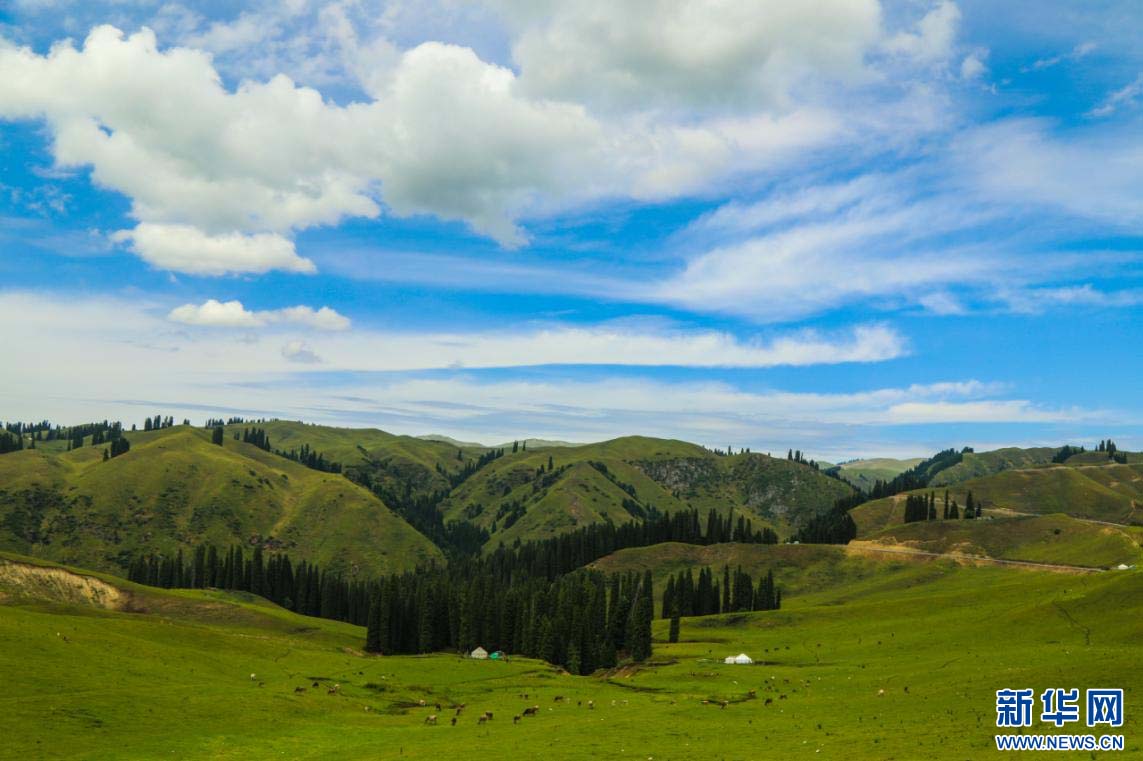 1757033397550759.jpg 2.jpg