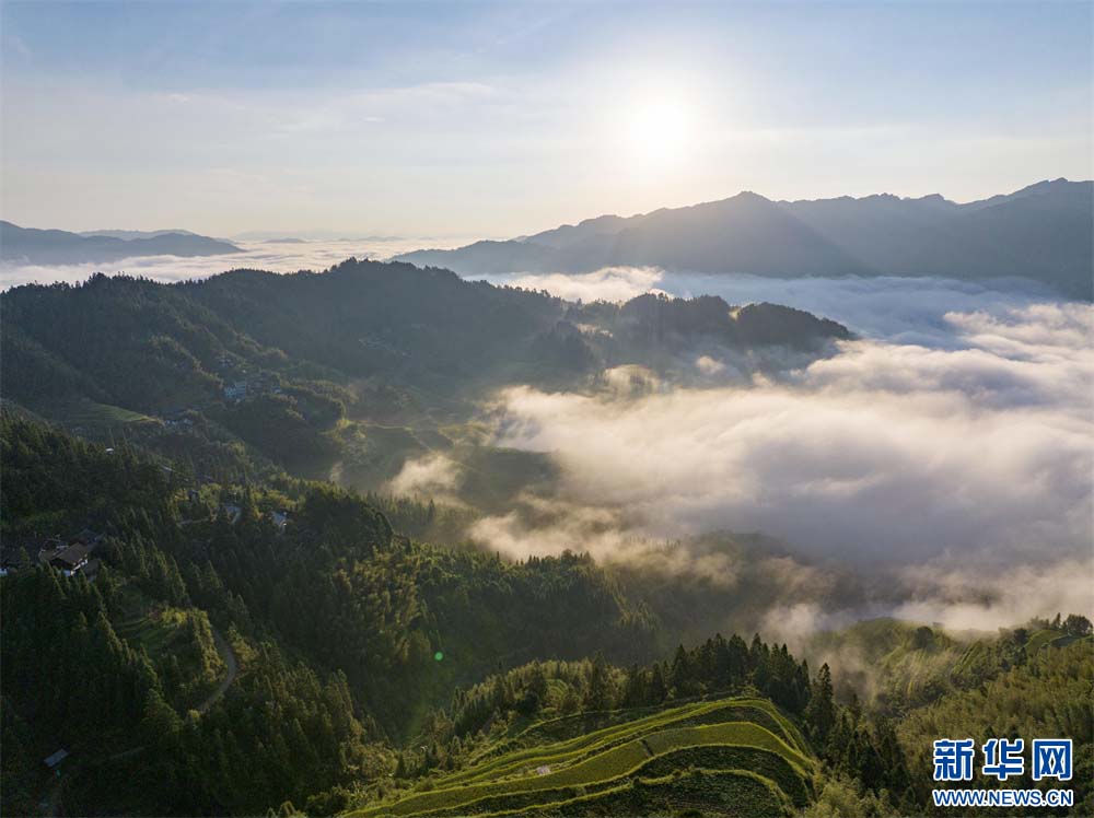 1757293290765536.jpg 1.jpg