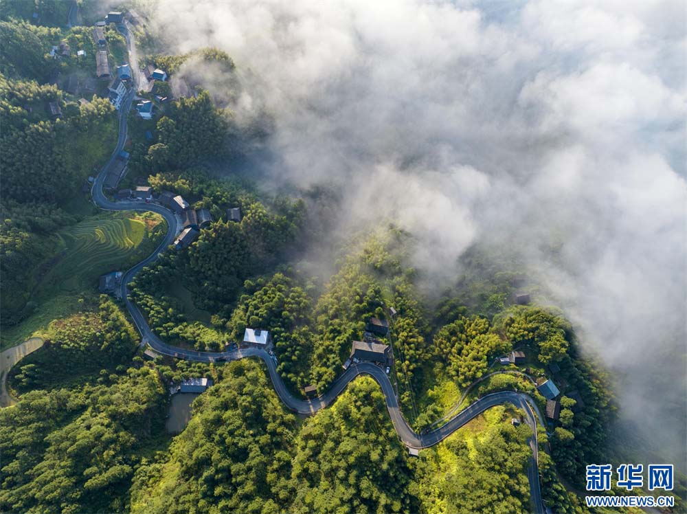 1757293356108774.jpg 2.jpg