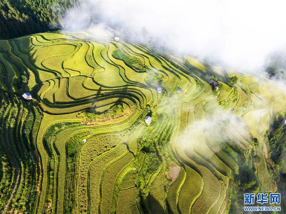 1757293397565661.jpg 3.jpg