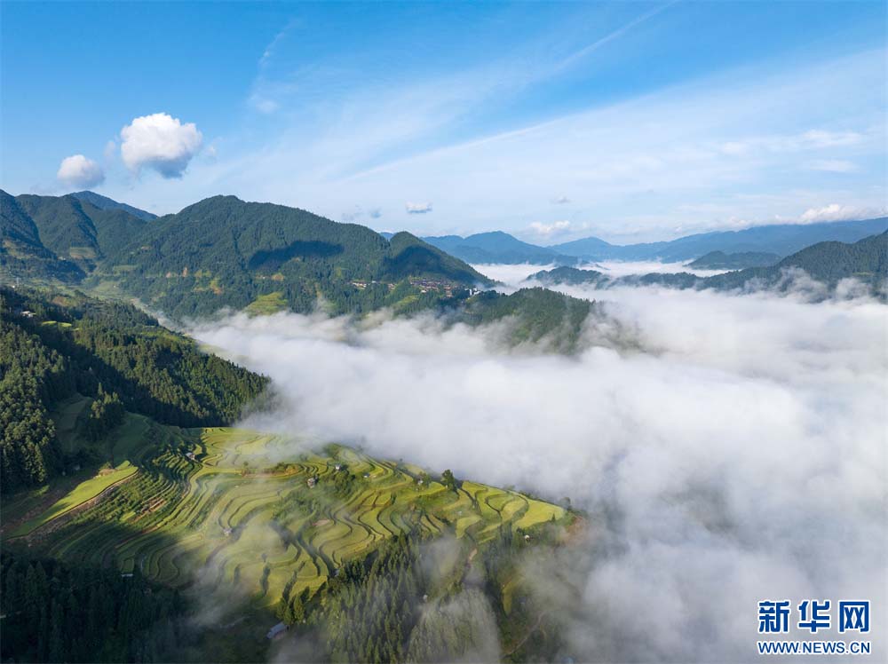 1757293473376908.jpg 5.jpg