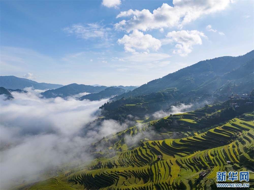 1757293517851570.jpg 6.jpg