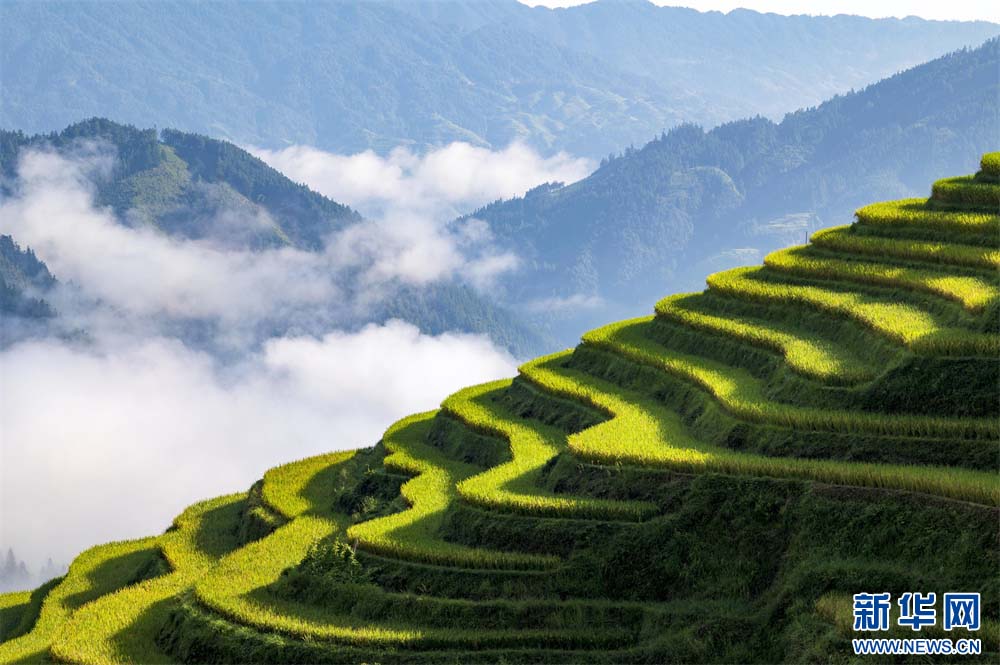 1757293551985411.jpg 7.jpg