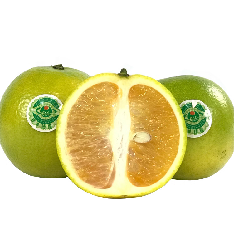 1757472874304516.jpg 2.jpg