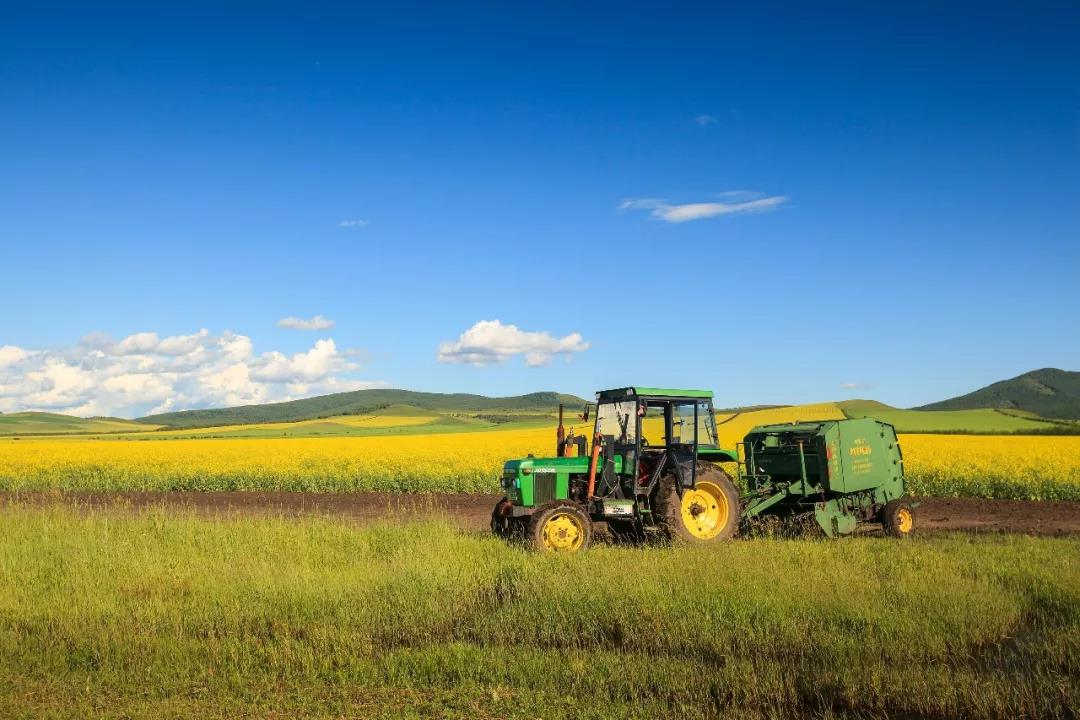 1758700397410159.jpg 3.jpg