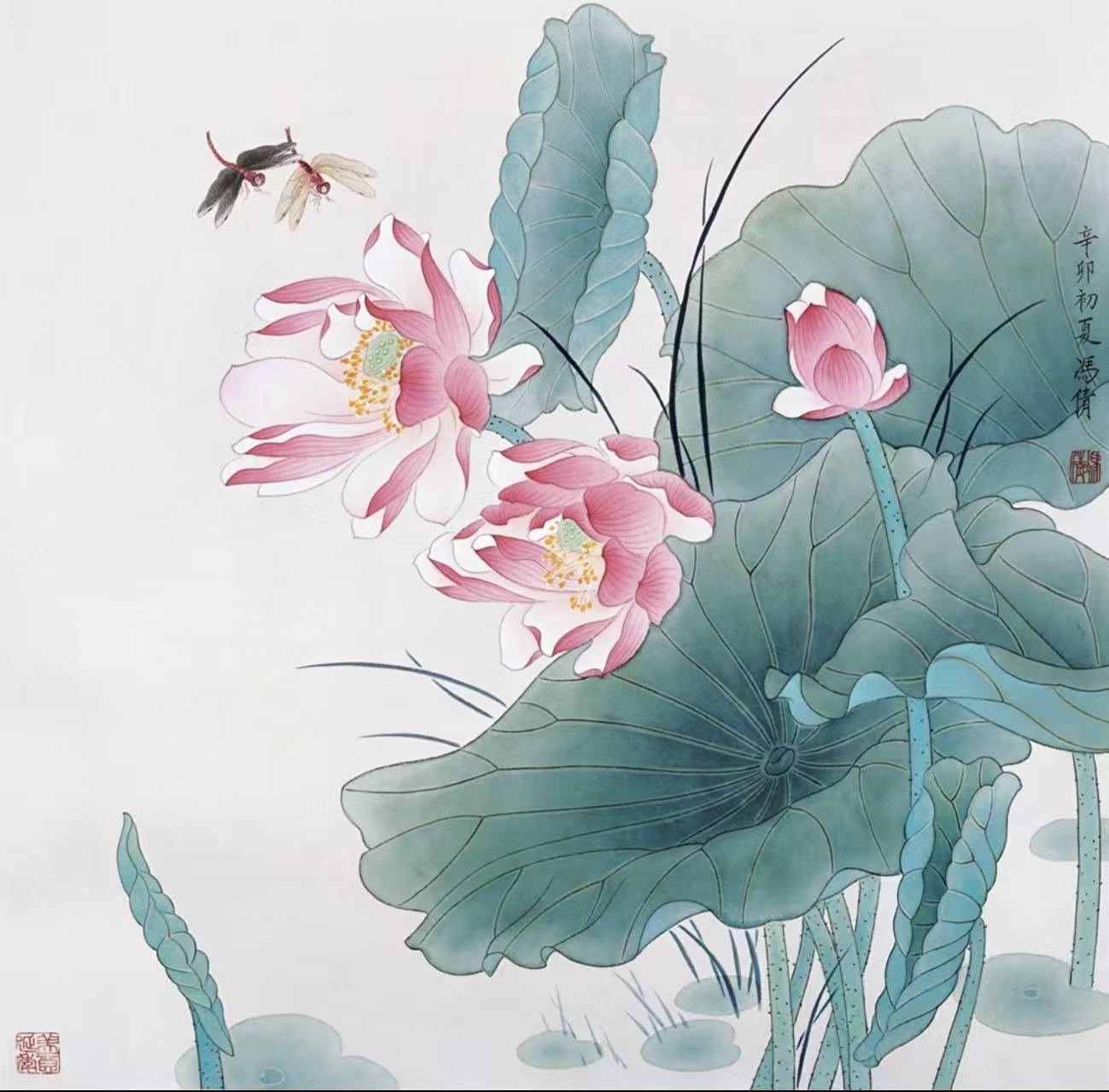 1763110757239138.jpg 9.jpg