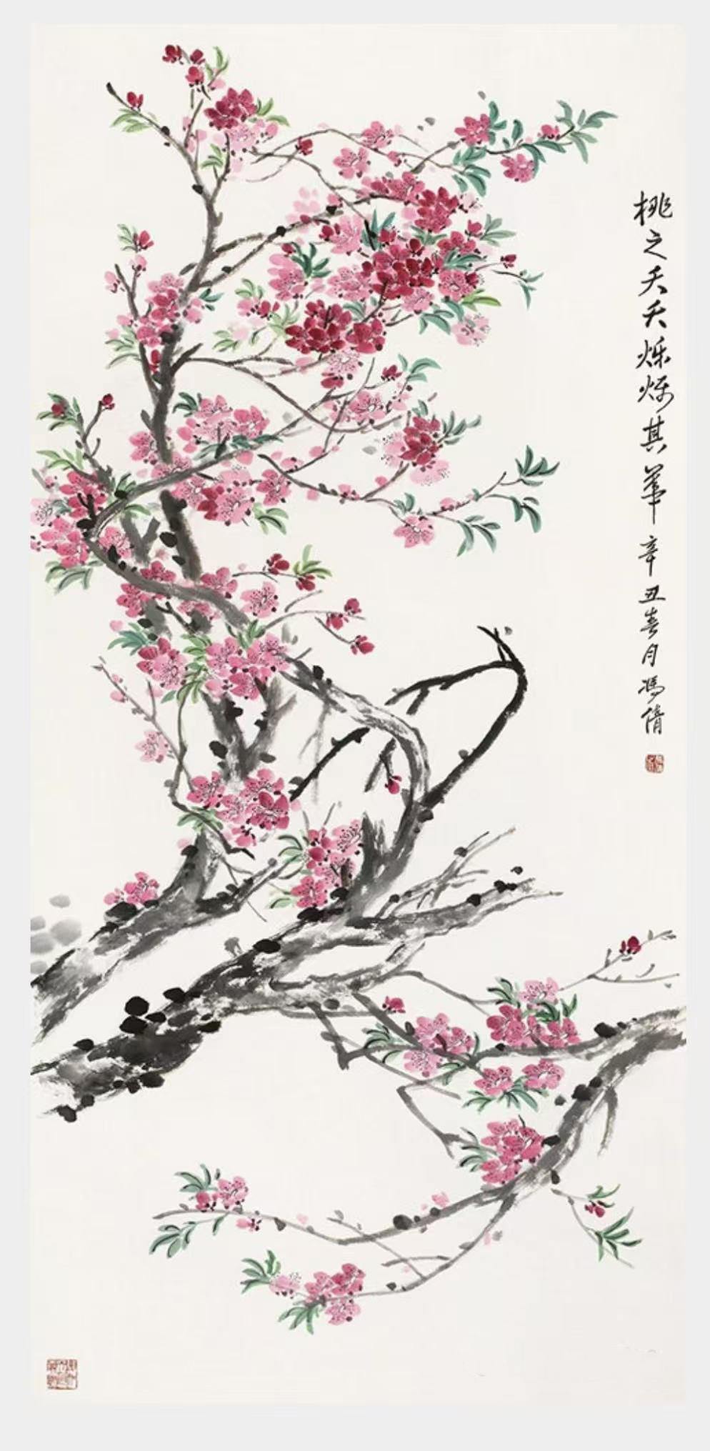 1763110792327218.jpg 13.1.jpg