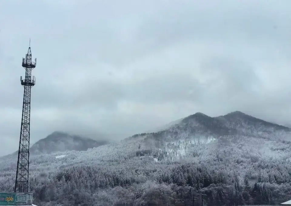 1763429092982981.jpg 3.1.jpg