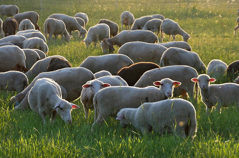 1763430750667060.jpg 3.jpg