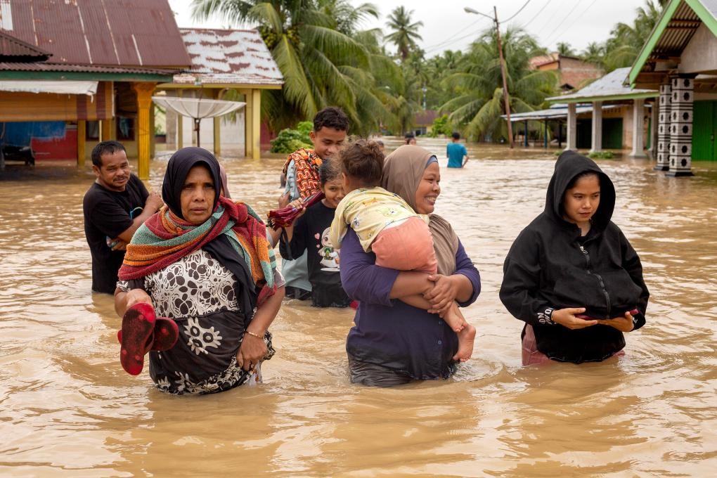 1764031310317904.jpg 2.jpg