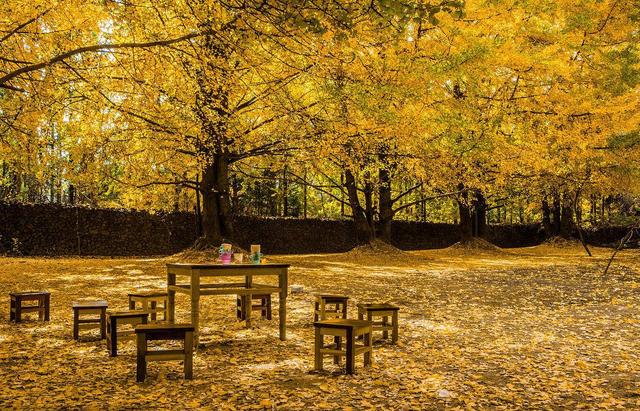 1764038790398051.jpg 3.jpg