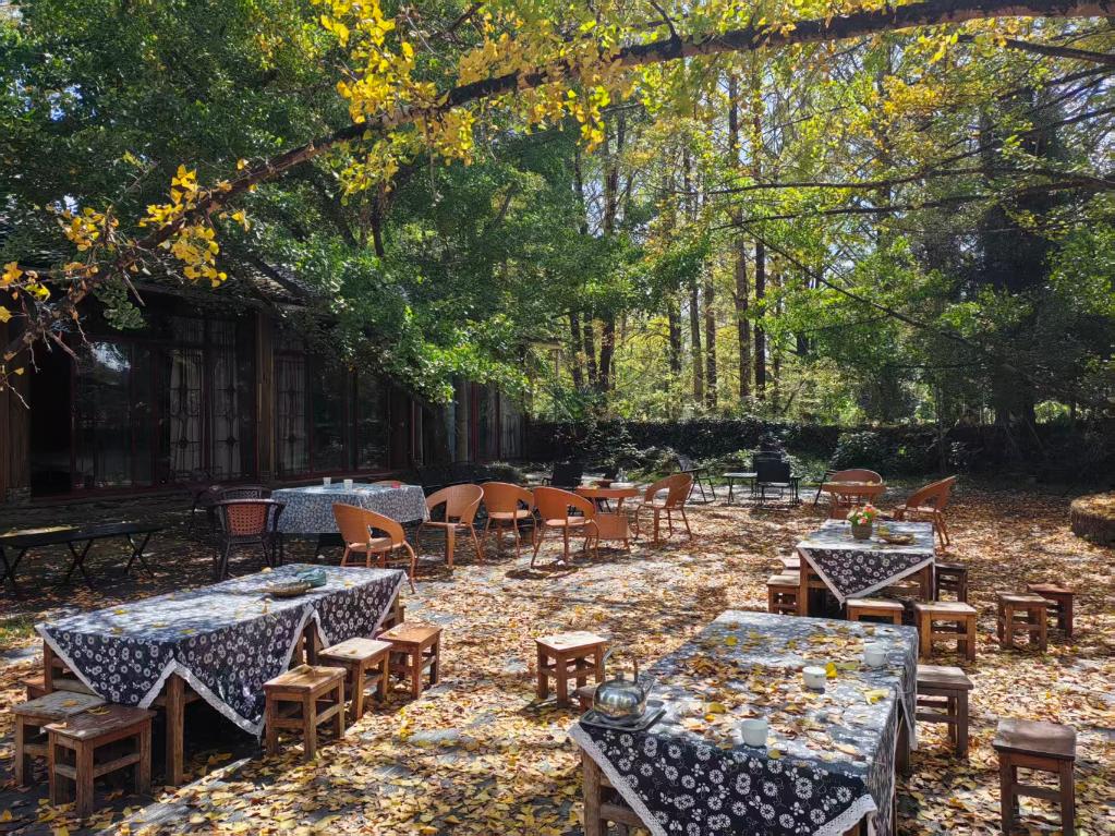 1764311329473308.jpg 3.jpg