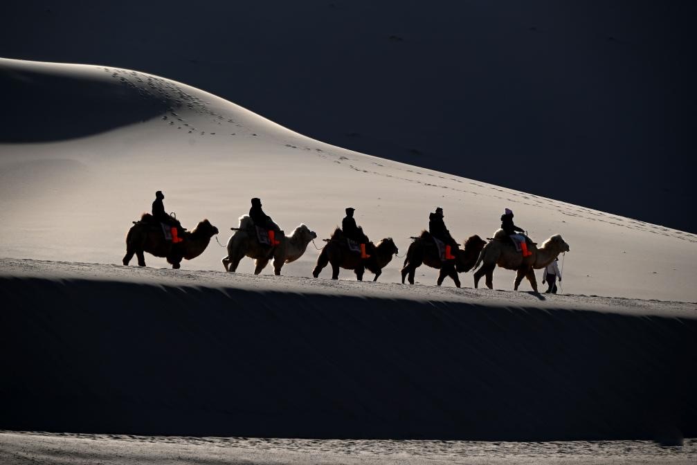 1764635834109853.jpg 1.jpg