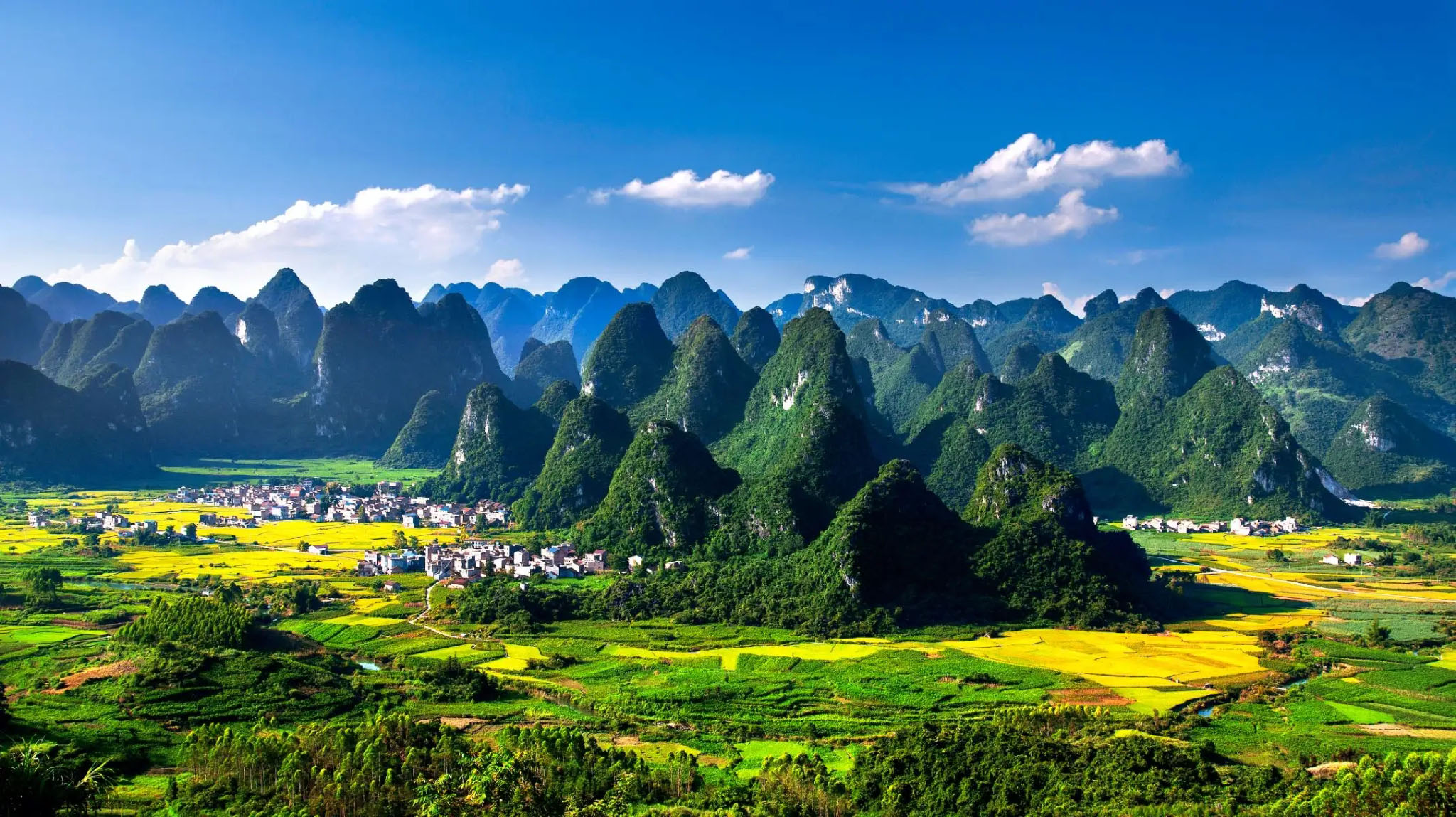 1764641636286259.jpg 7.1.jpg