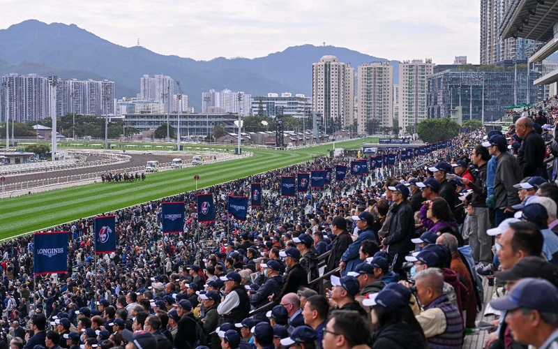 1765769194518522.png 3.png