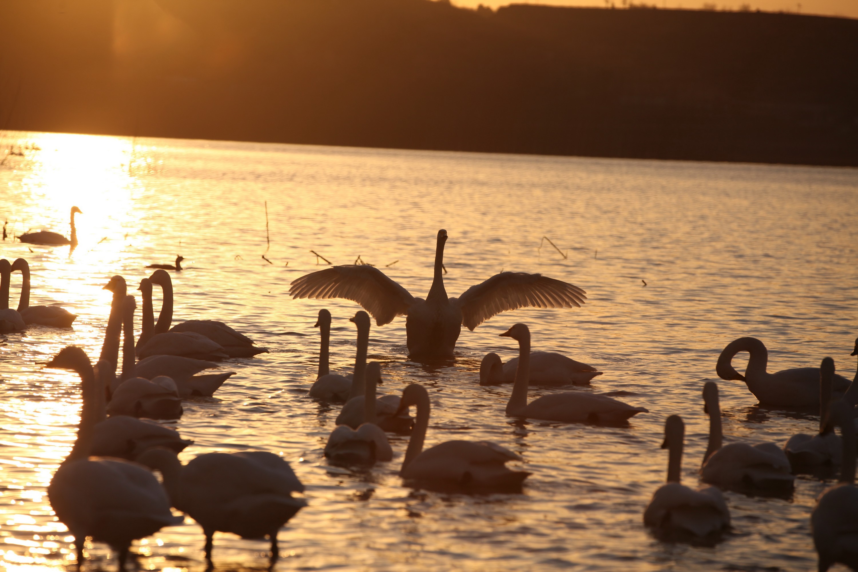 1766367059492097.jpg 8.jpg