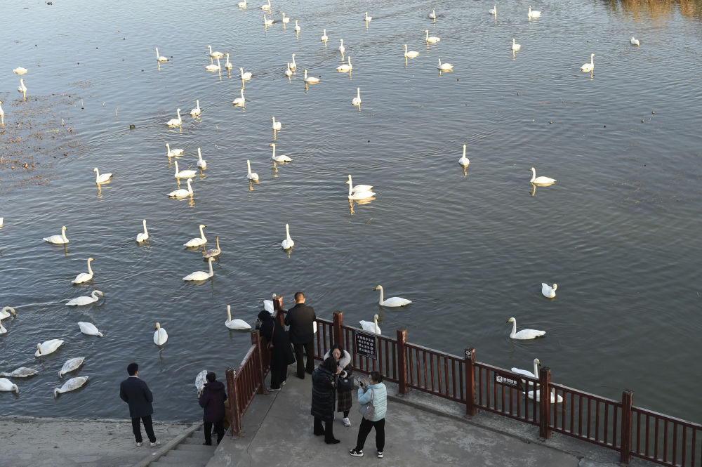 1766367309999872.jpg 6.jpg