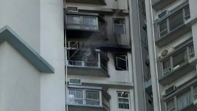 1767582004980856.jpg 3.1.jpg