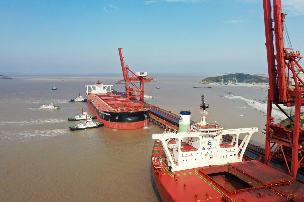 1767928558497045.jpg 3.jpg