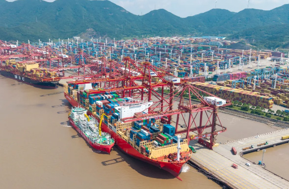 1767928796450910.jpg 4.1.jpg